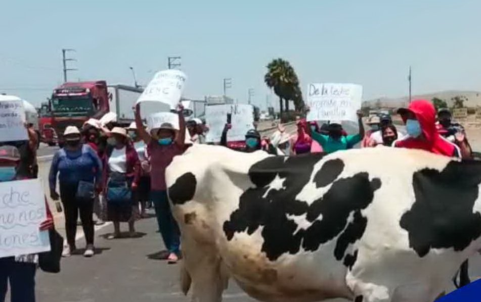 Casi 30 mil ganaderos de Arequipa en pie de lucha