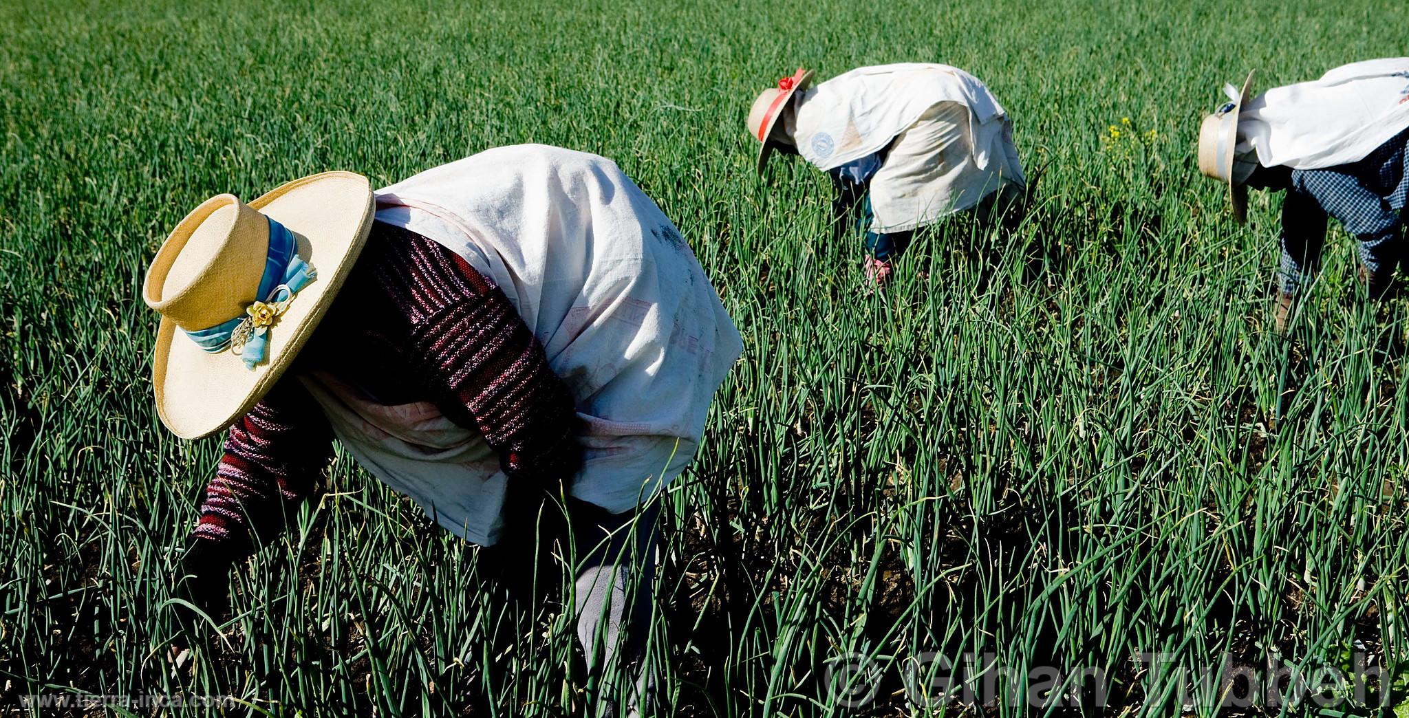 Agricultores anuncian paro nacional contra reforma agraria