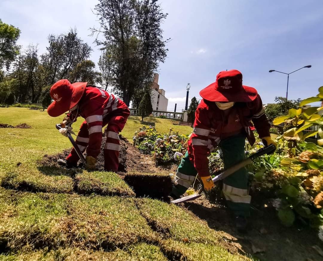 Destinarán 50 millones de euros para programa de limpieza