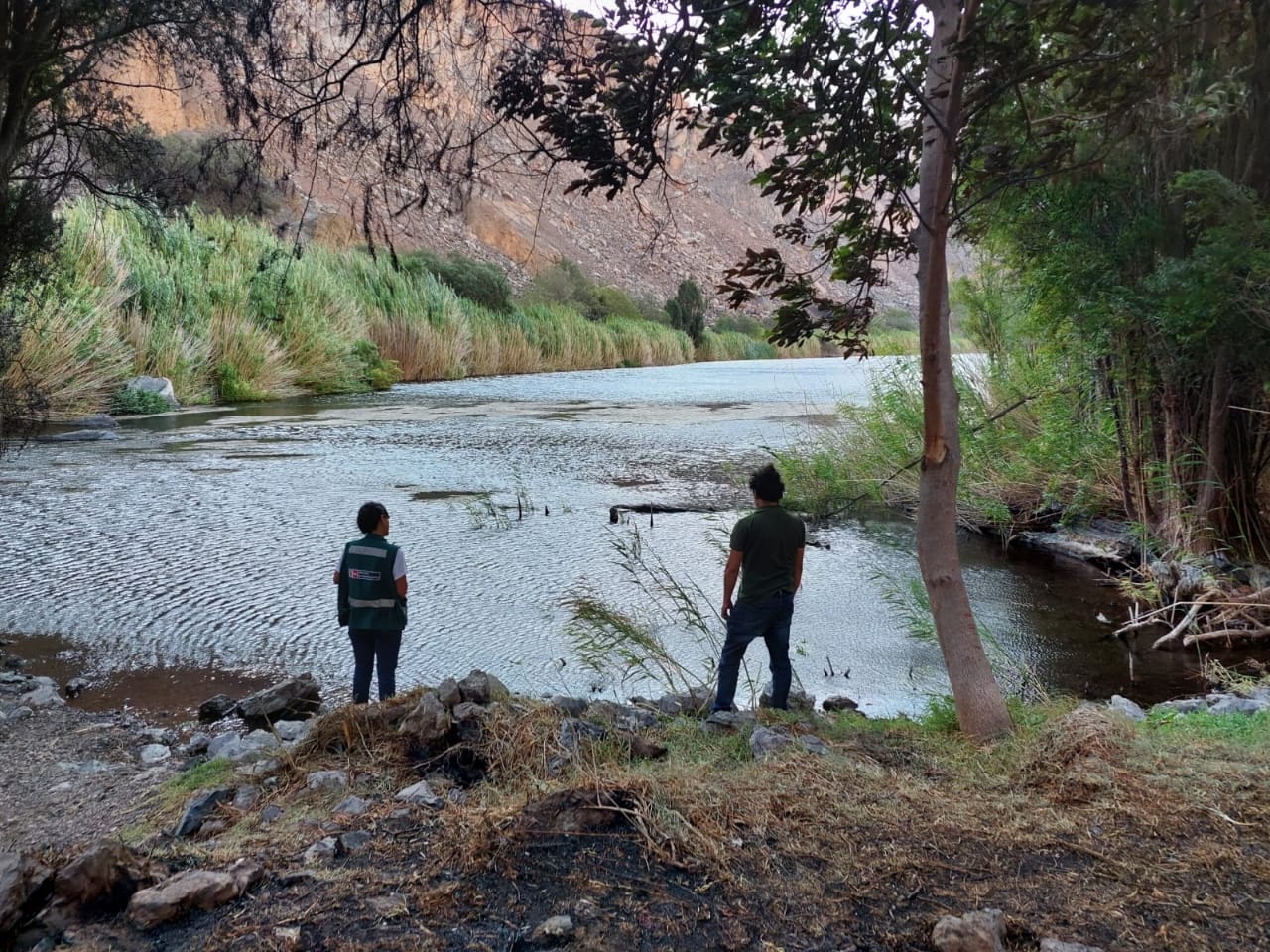 Buscan proteger  la flora y  fauna en extinción de la laguna Mamacocha