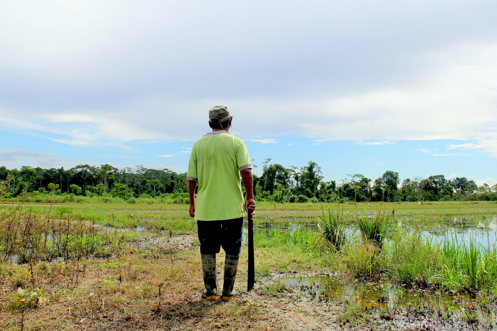 Guía para defensores ambientales