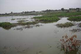 Detengamos el daño a la Laguna Azul