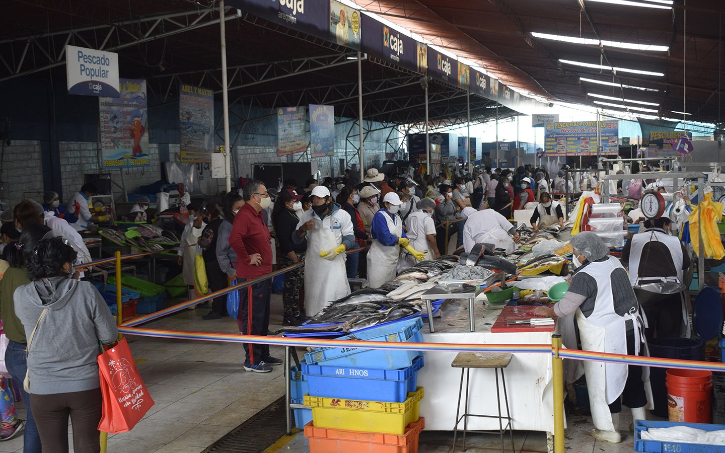 Comerciantes garantizan abastecimiento de productos marinos por Semana Santa