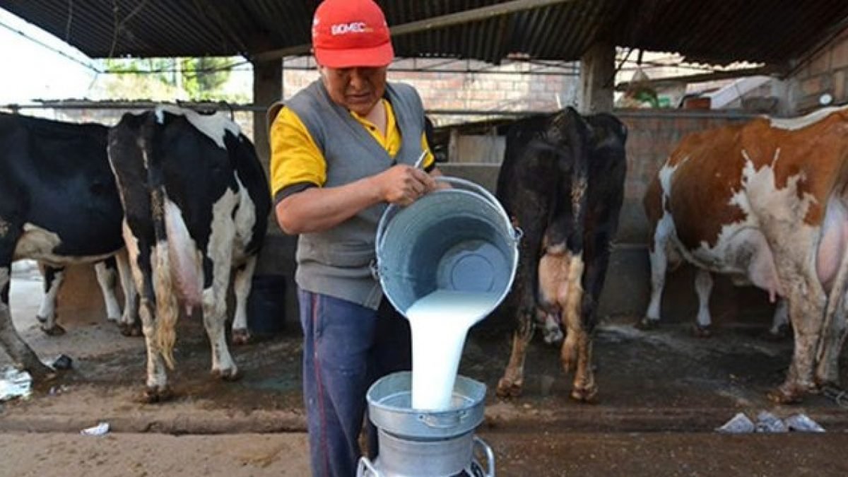 Ministros aprobarían decreto del uso de leche fresca para la industria