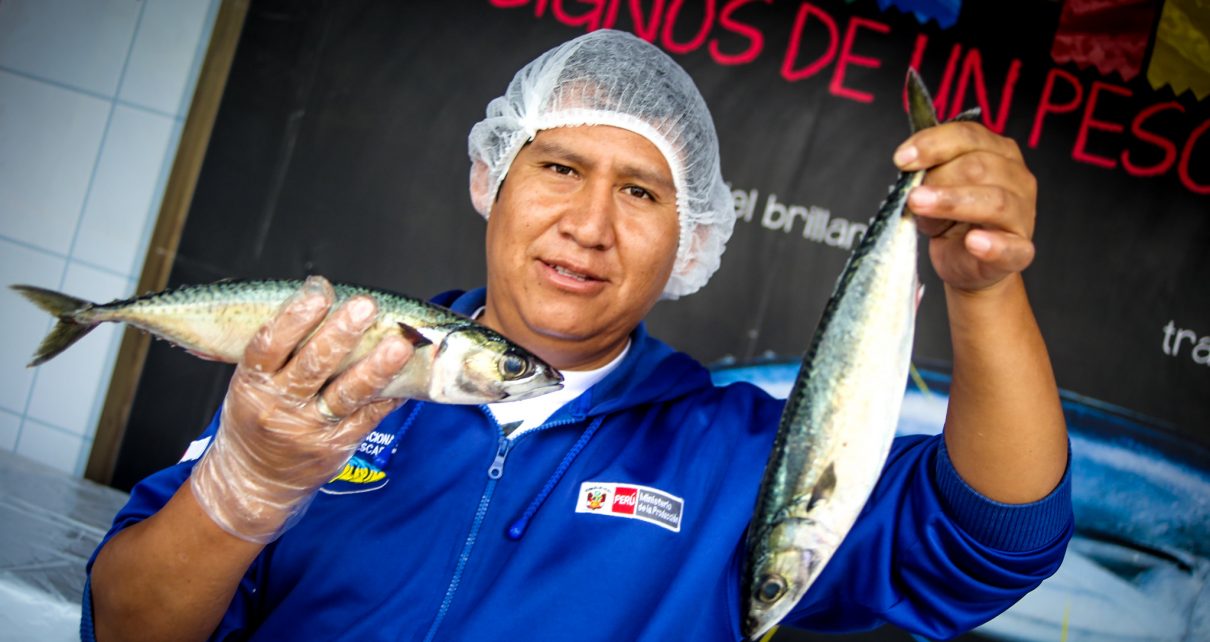 Pescado a 3.50 soles el kilo en distrito de Miraflores