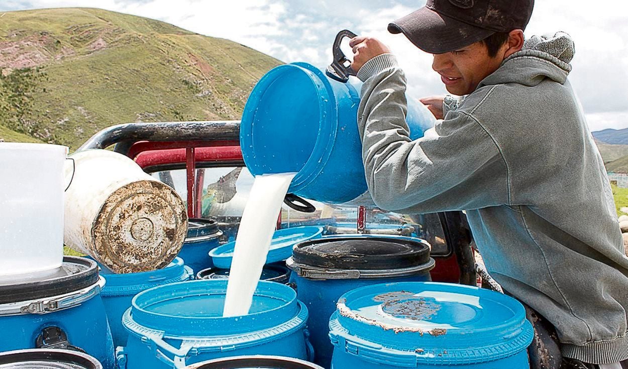 De consumidores dependerá mayor venta de leche fresca