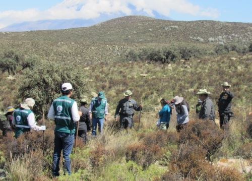 Detectan 26 problemas ambientales en Arequipa