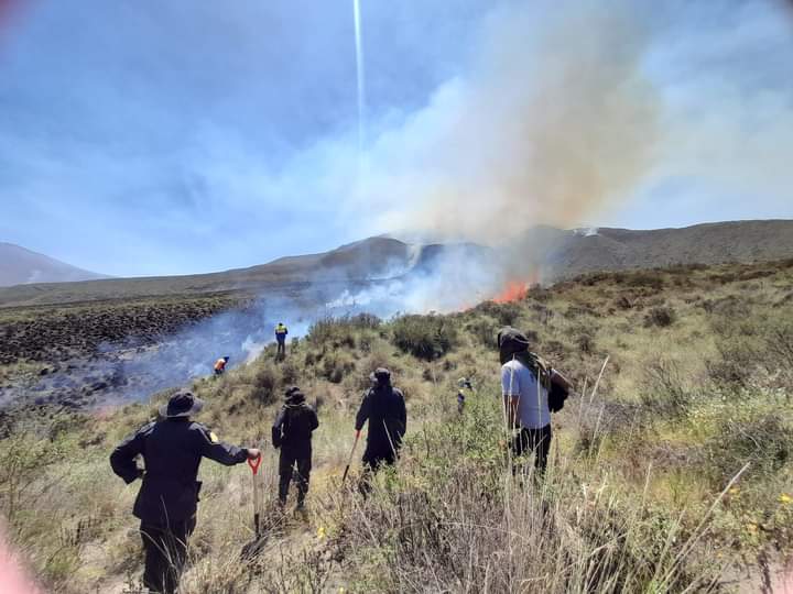 Contabilizan más daños por incendio forestal en el Misti