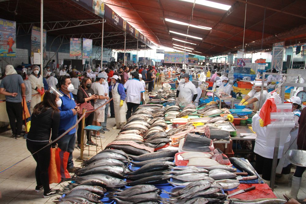 Ingresa a mercado 50 toneladas de pescado