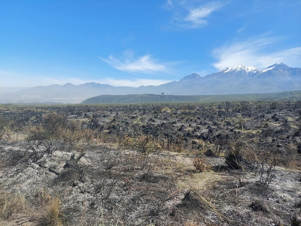 Más de 270 hectáreas fueron afectadas en incendio forestal en las faldas del Misti