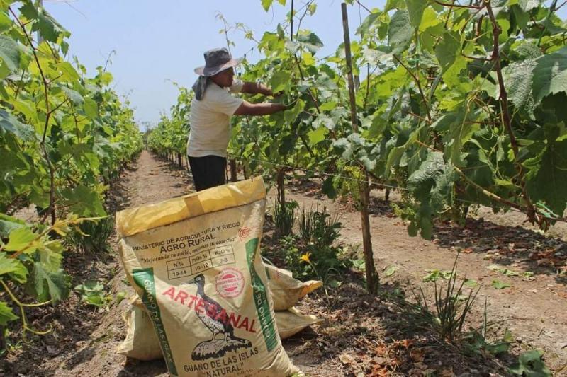 El 70% de agricultores con problemas para la adquisición de fertilizantes