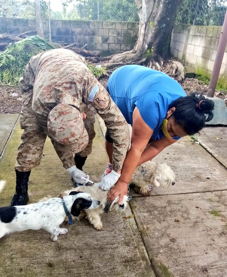 Soldados del Ejército apoyan en campaña de vacunación de canes