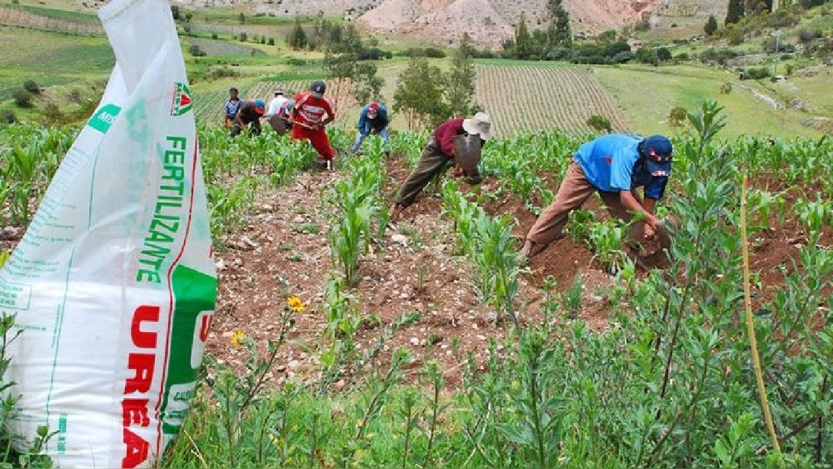 Perú debe impulsar agricultura familiar libre de fertilizantes