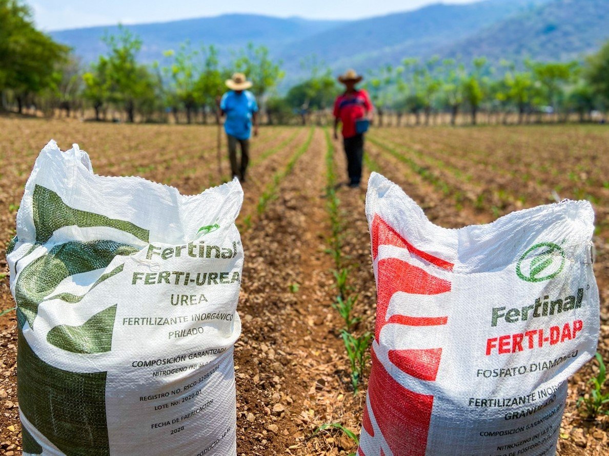 Crisis de fertilizantes: los productos que subirían de precio