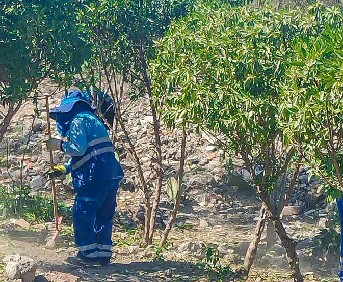 Desconocidos queman contenedor en Socabaya