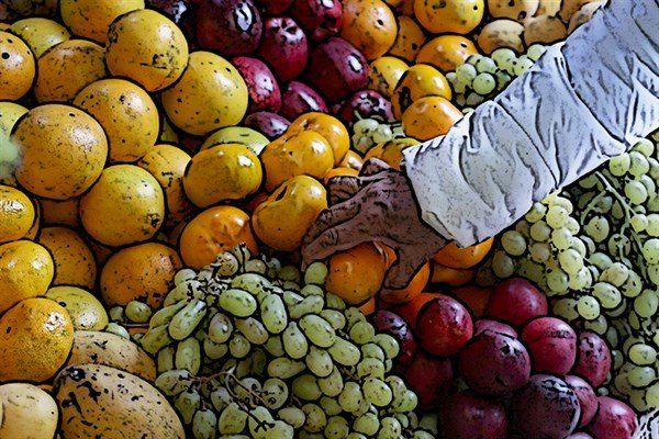 Frutas de exportación del Perú: retos y soluciones