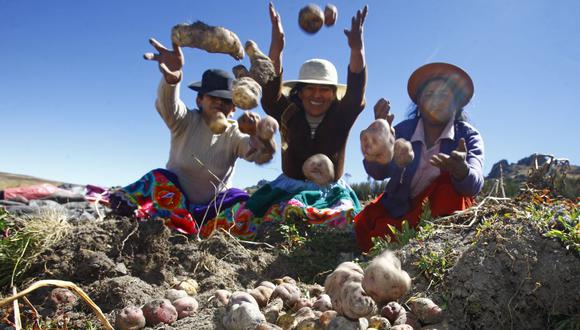 Hoy es feriado para sector público por el Día del Campesino