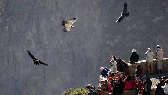 National Geographic destaca bondades culturales y geográficas del Colca