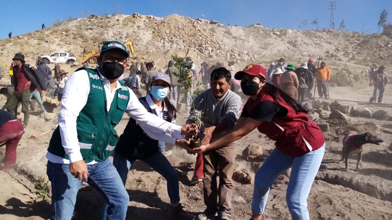 Plantarán más de 1 500 árboles en Arequipa por el Día Mundial del Ambiente