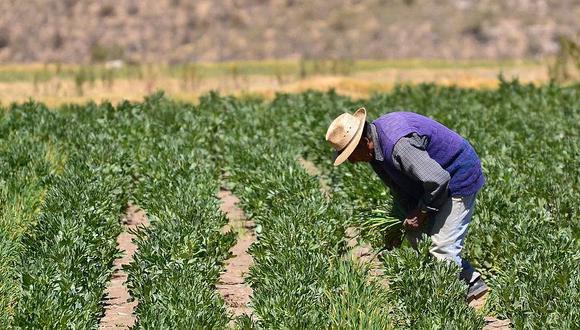 Actualización de padrón agrario se realiza después de diez años