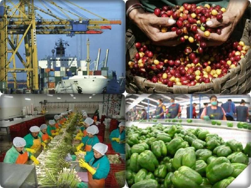 Diversifiquemos nuestros mercados de exportación