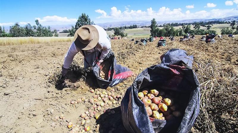 Ejecutivo anuncia prórroga de emergencia agraria por 167 días