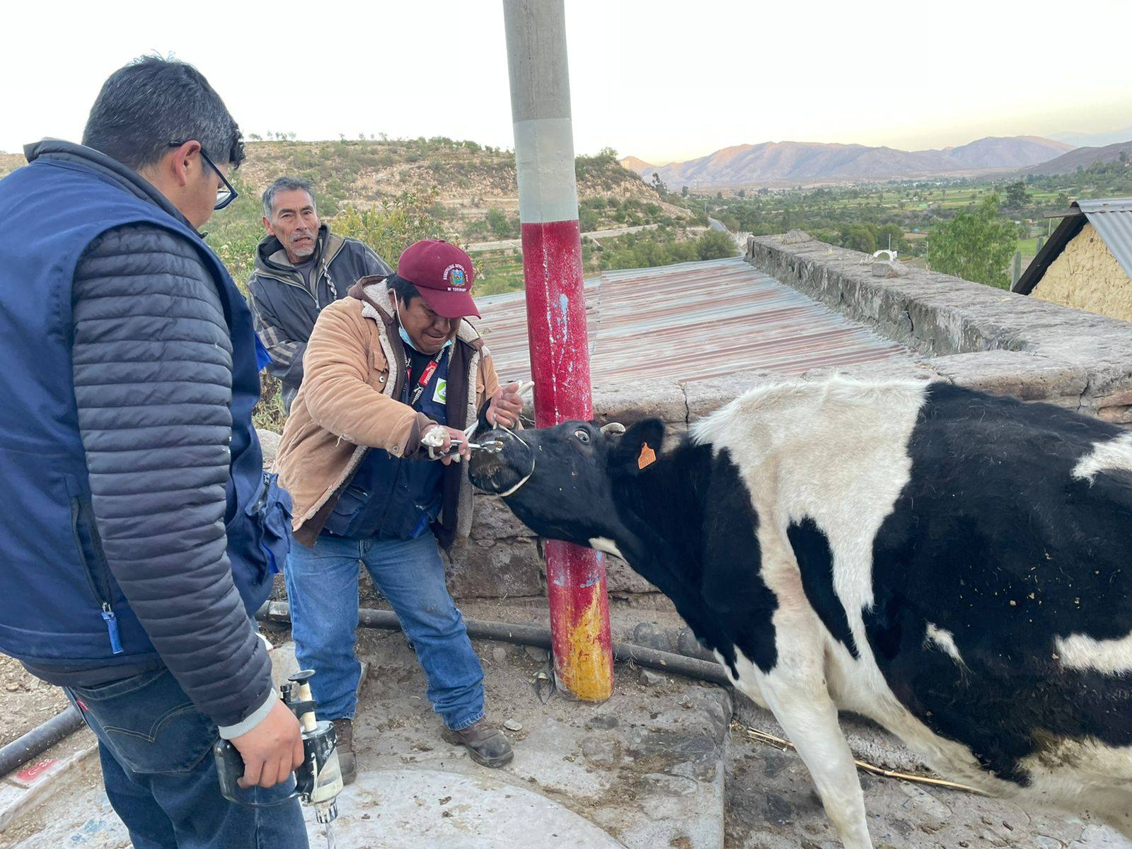 Mejoramiento genético y control sanitario