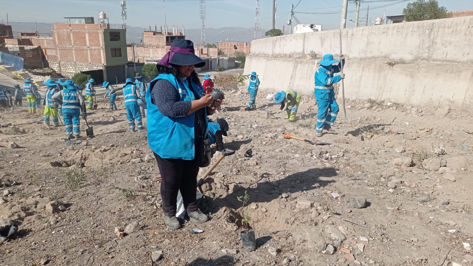 En campaña de forestación plantan más 500 arbolitos