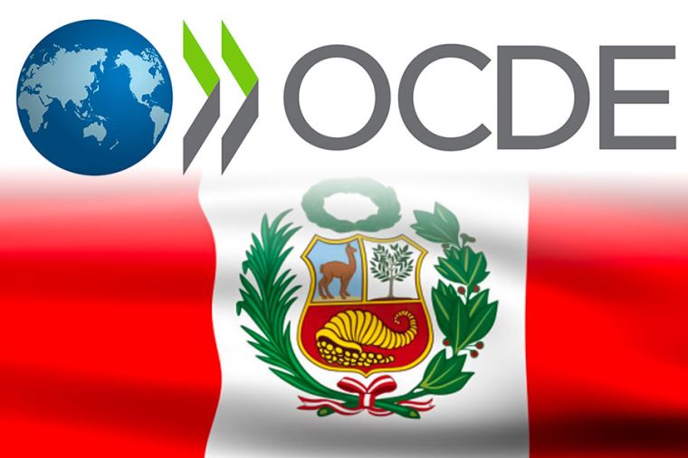 OCDE y las responsabilidades del Estado