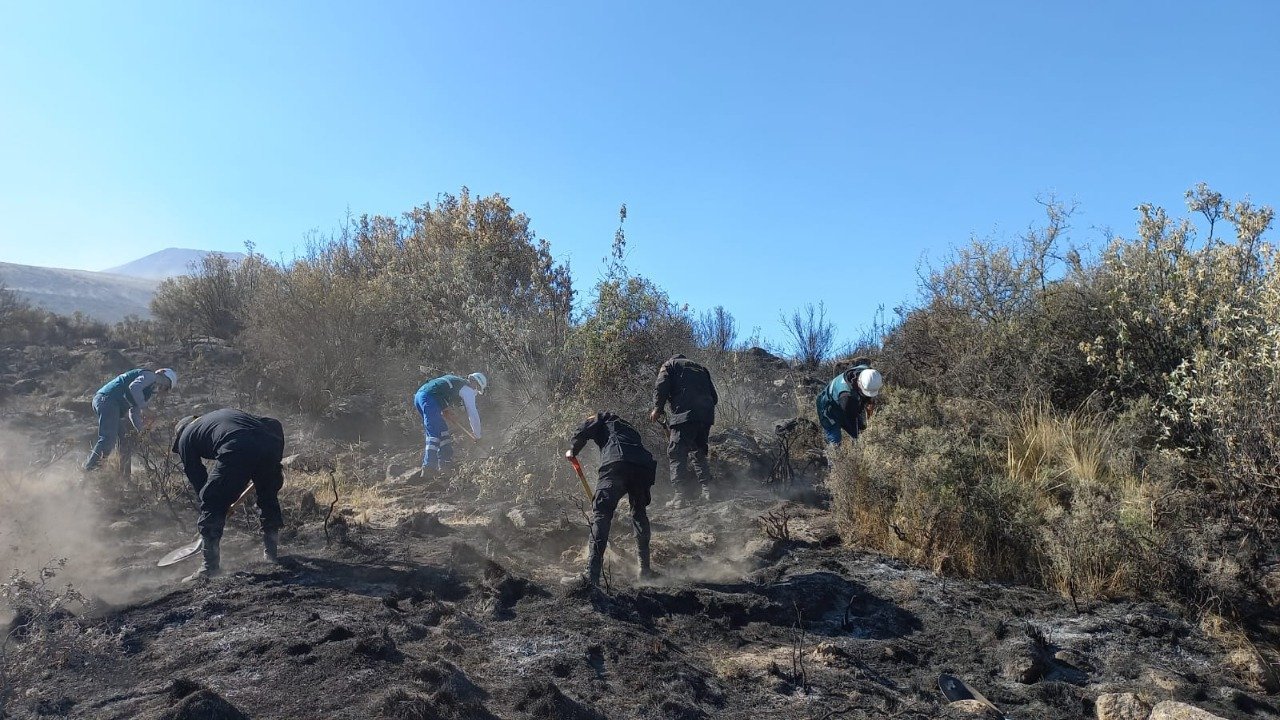 Incendio forestal en Chiguata afectó 15 hectáreas de pastizales