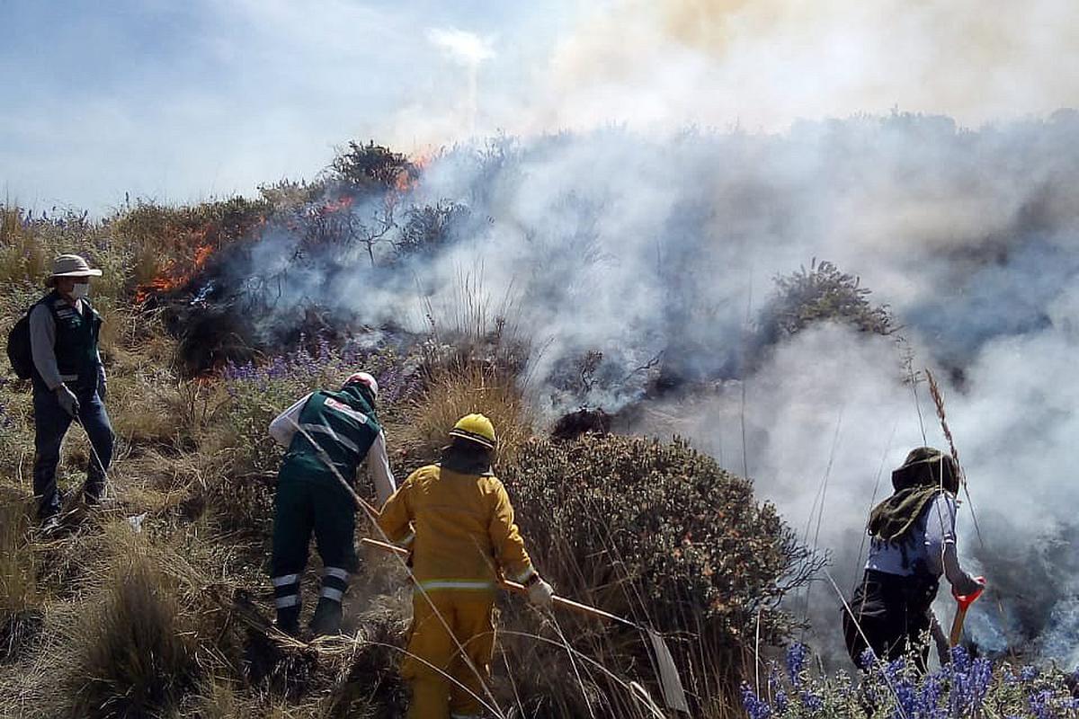 SERFOR estima 793 hectáreas pérdidas tras incendios forestales