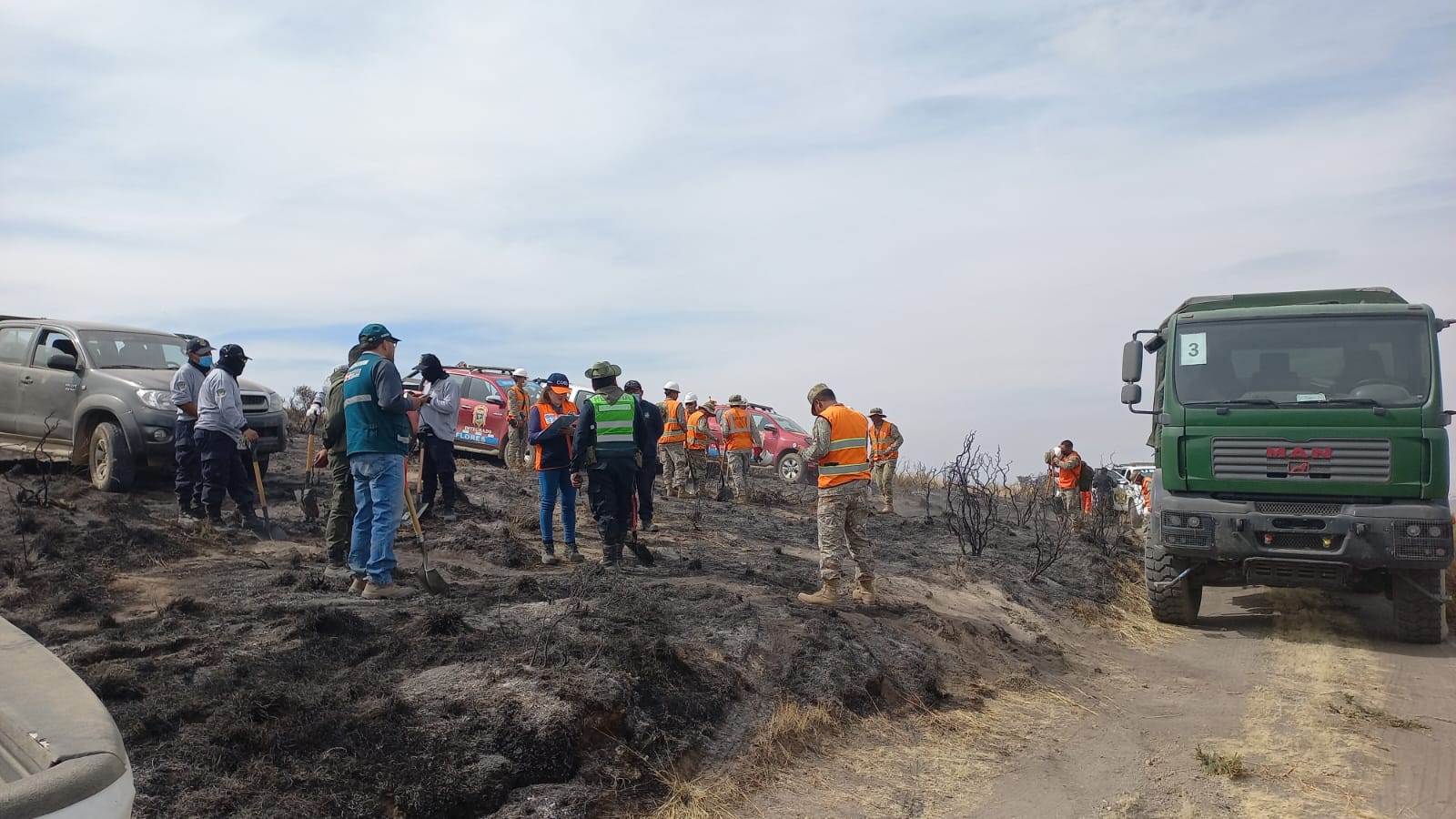 Temen grandes pérdidas por incendio forestal