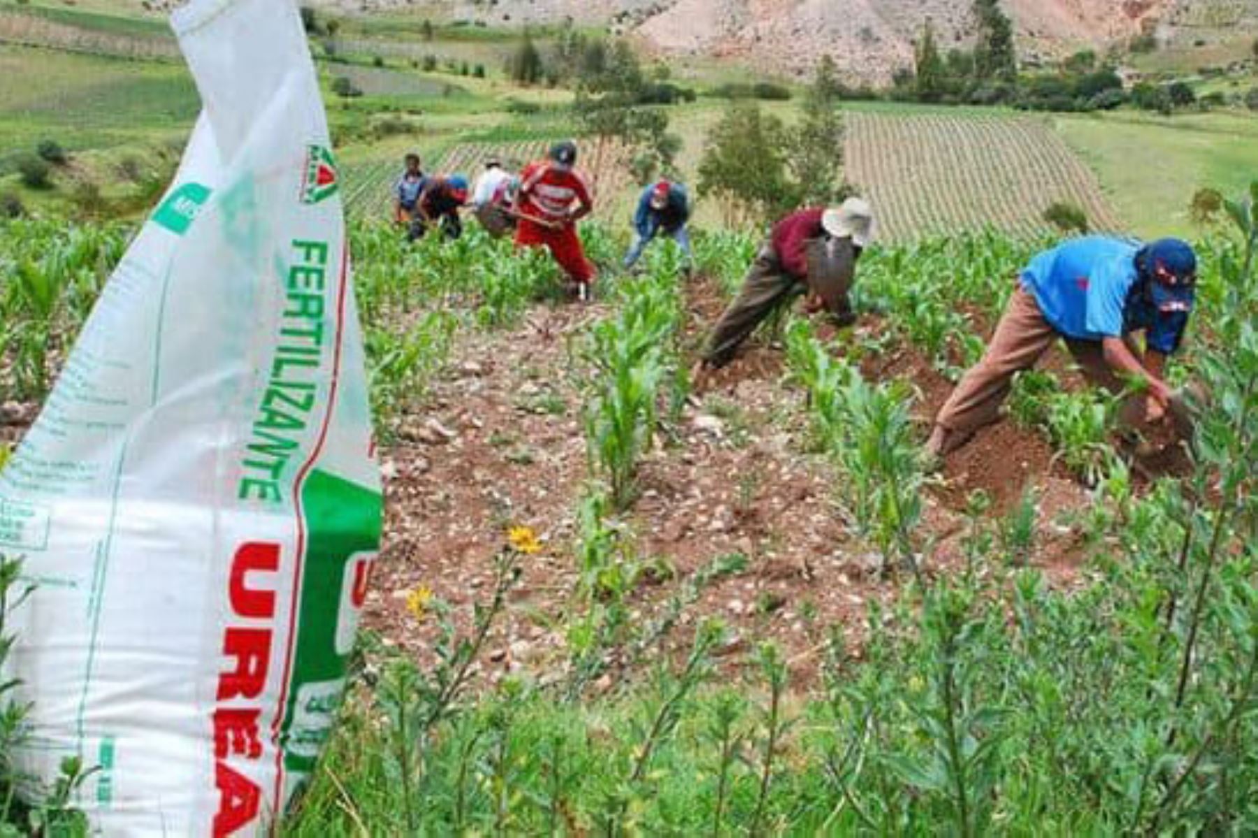 La próxima semana culmina proceso de compra de urea