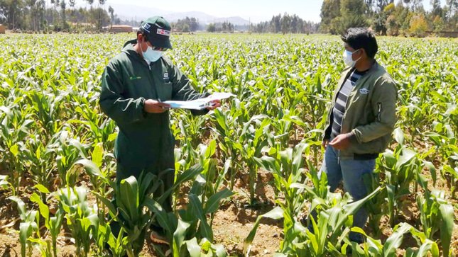 Anuncian talleres para productores agrarios de 11 regiones del país