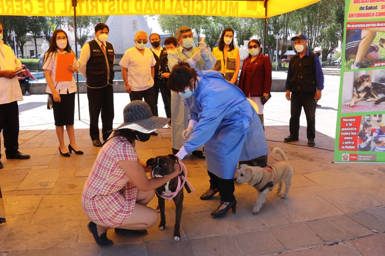 Inician campaña de vacunación canina