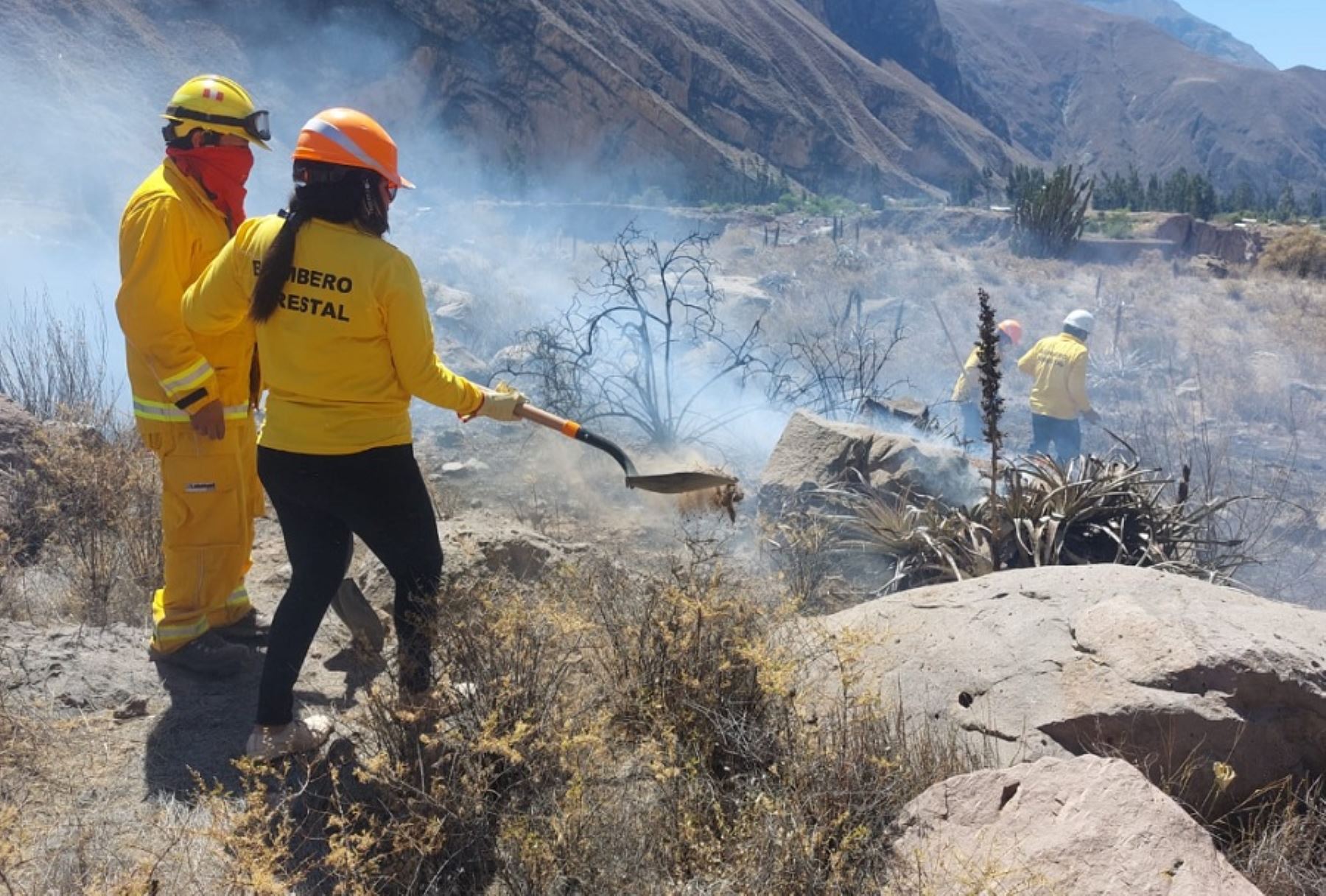 Inician campañas de prevención para evitar incendios forestales