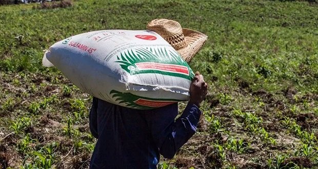 Llegarán 44,000 toneladas de urea para agricultores