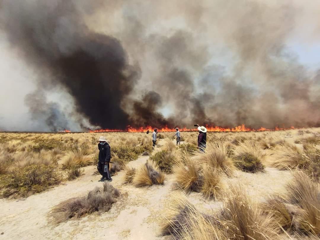 Incendio forestal se registra en los distritos de Pocsi y Polobaya