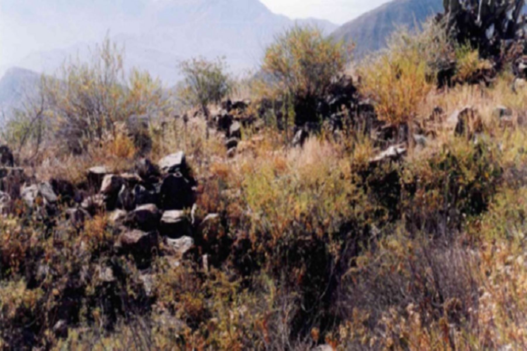 Culmina saneamiento del Sitio Arqueológico Putushina