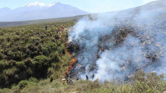 Un total de 41 incendios forestales se registraron este año