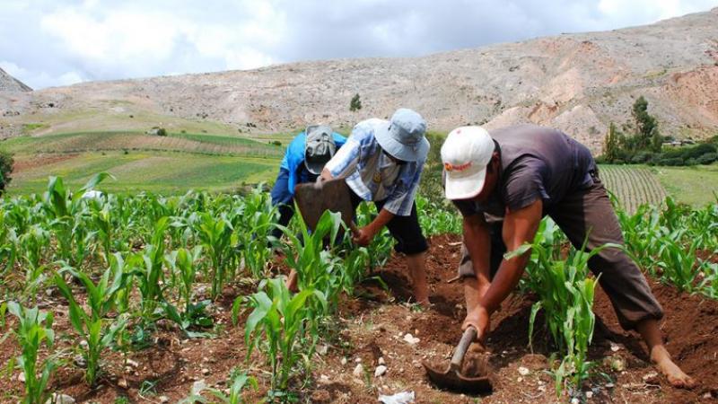 Casi el 50% de habitantes en el país son afectados por inseguridad alimentaria