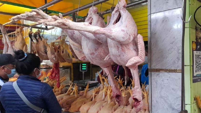 Pavo podría costar desde 18 soles el kilo y el precio del pollo baja