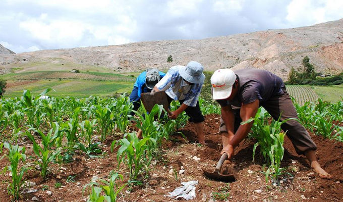 Gobierno otorgará bono a agricultores para enfrentar sequía a nivel nacional