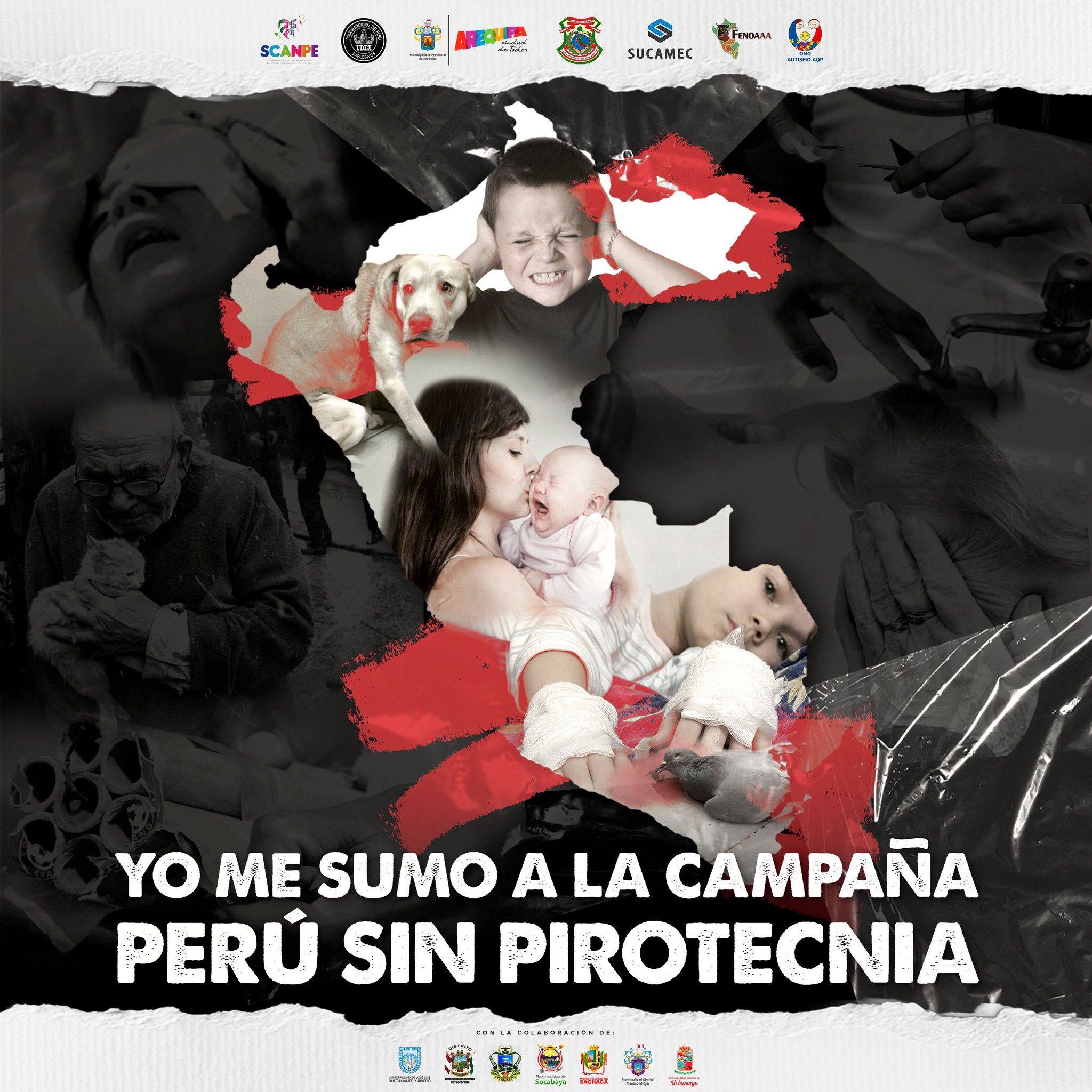 Campaña nacional «Perú sin pirotecnia»