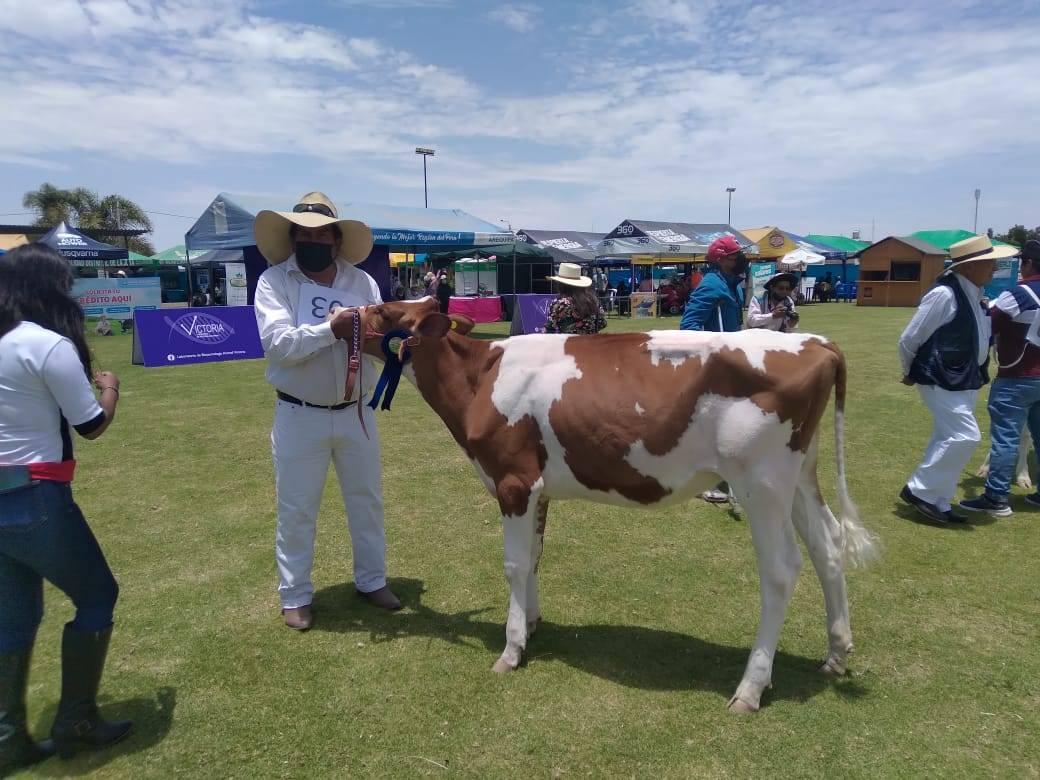 Vuelve la Expoagro del 8 al 11 de diciembre a Cerro Juli