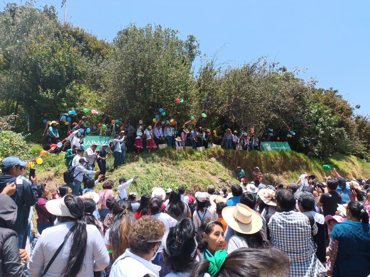 Bajada de Reyes y sacudida de perales generó alegría en ciudadanos