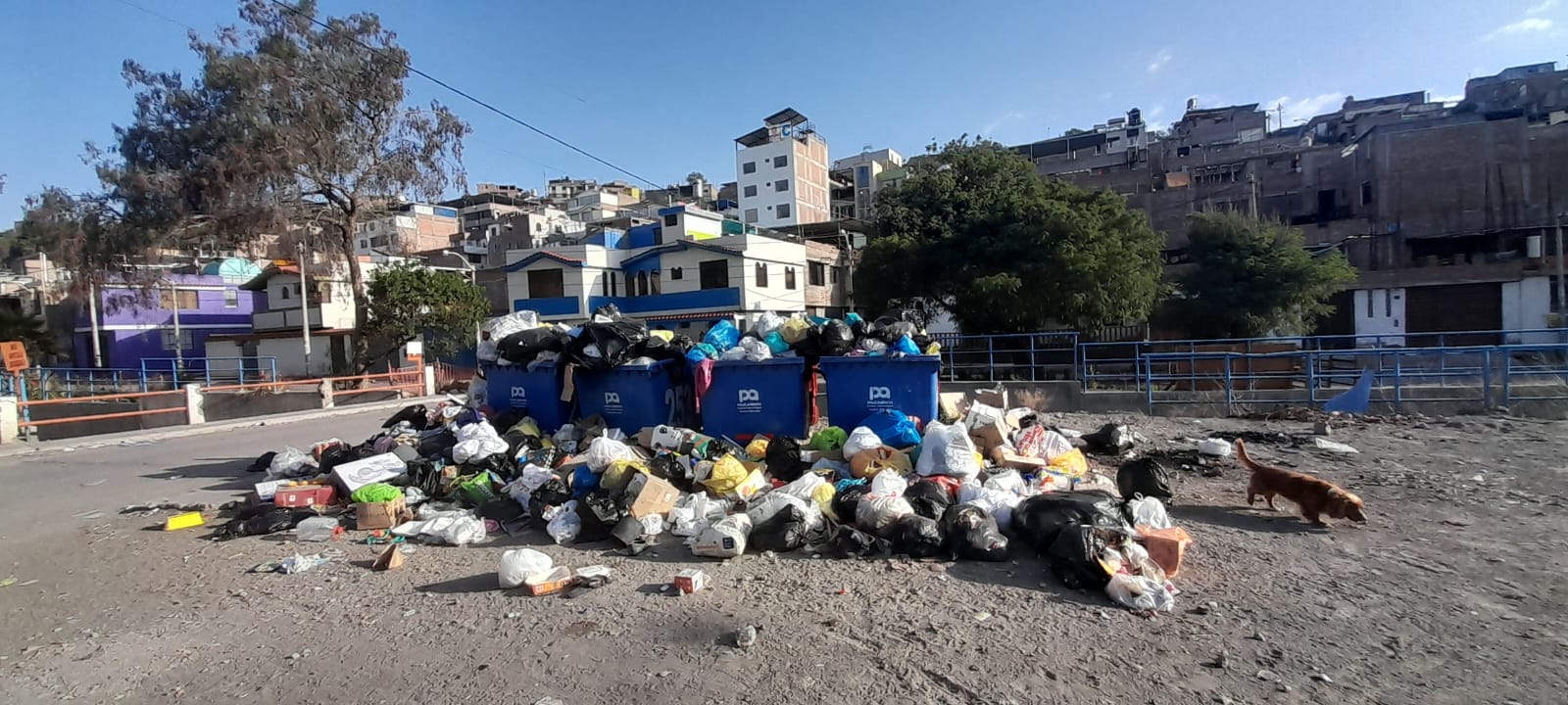 Basura es un riesgo latente para la salud pública