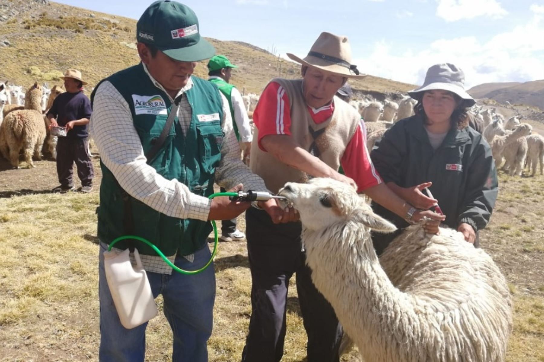 Agro Rural mantiene apoyo a comunidades ante heladas y friaje