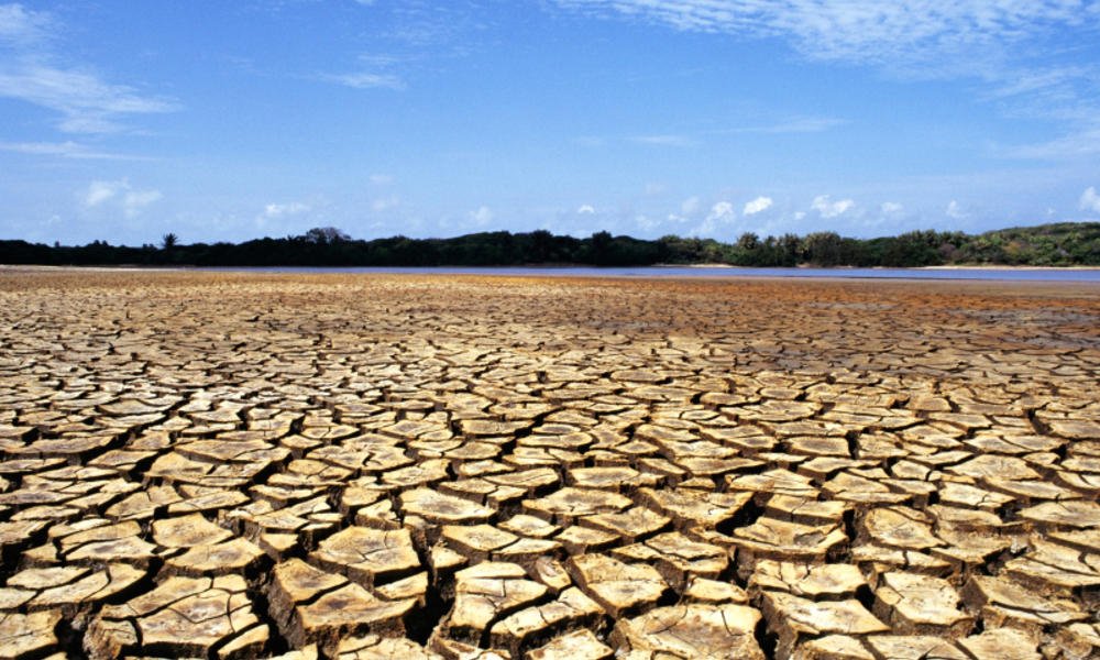 CAMBIO CLIMÁTICO: Compras públicas con bajas emisiones de carbono