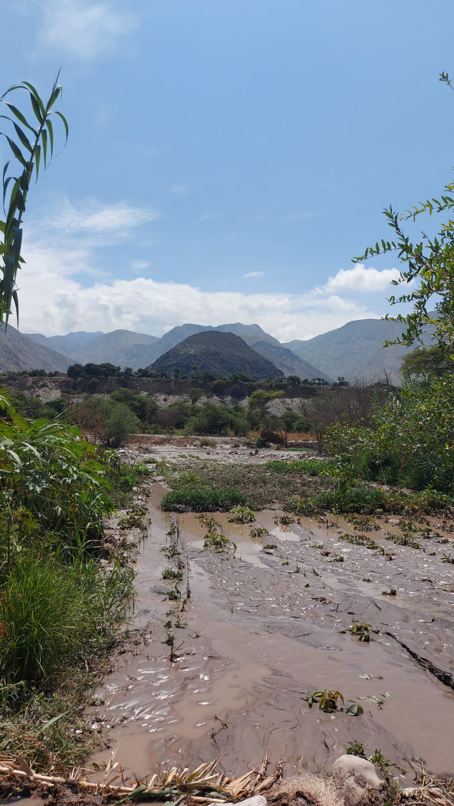 Aumento de caudal del río Ocoña pone en riesgo a 19 centros poblados